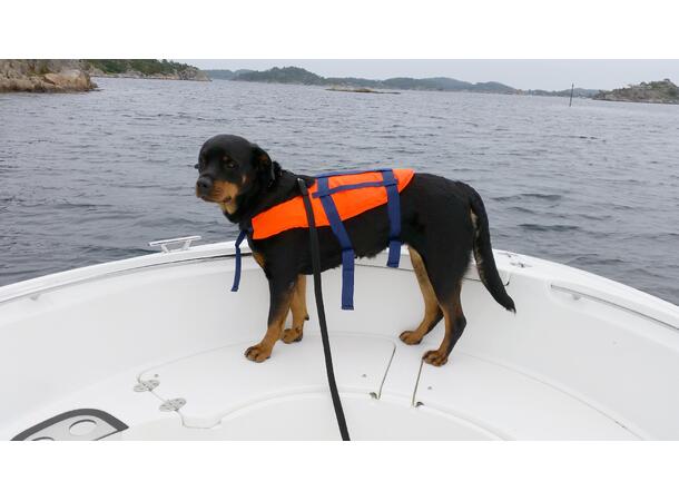 Redningsvest for hund Stor - 15-40 kg 
