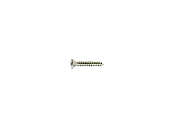 Plateskrue linse A4 25x5,5mm ( 4stk)