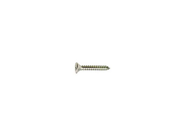 Plateskrue linse - 2 stk A4 - 50x4,8mm ( 2stk) 