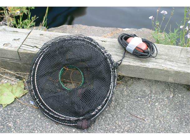 Teine, sammenleggbar for fisk og krabber