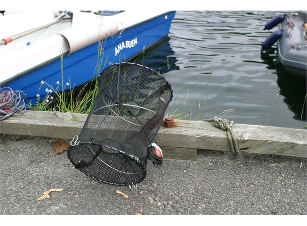 Teine, sammenleggbar for fisk og krabber
