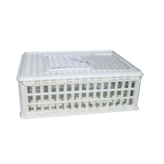 Sanketeine plast 75 x 55 x 26 cm