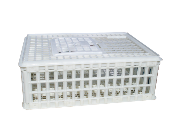 Sanketeine plast 75 x 55 x 26 cm 