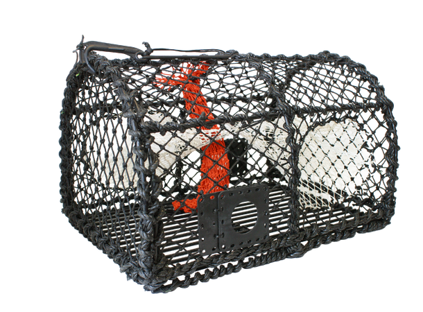 Krabbe/Hummerteine enkel 62x44x41 cm - 5,5mm - 6kg 