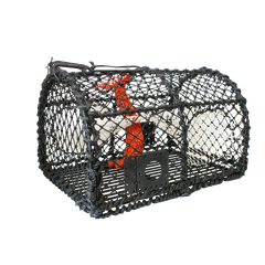 Krabbe/Hummerteine enkel 62x44x41 cm - 5,5mm - 6kg