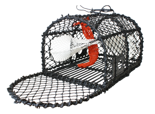 Krabbe/Hummerteine enkel 62x45x40 cm - 5,5mm - 6kg 