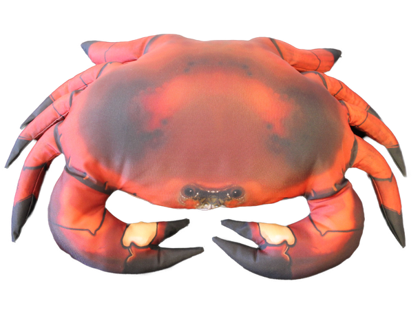 Fiskepute - Krabbe Cancer Pagurus - 60 cm 