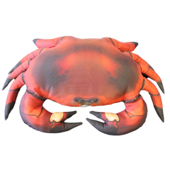 Fiskepute - Krabbe Cancer Pagurus - 60 cm