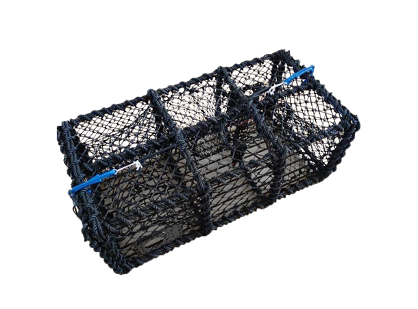 Hummerteine 11kg