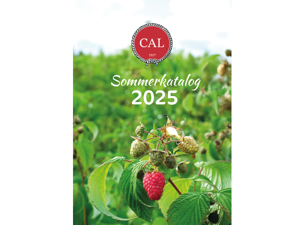 Sommerkatalog 2025 