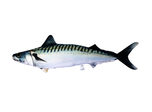 Fiskepute - Makrell Scomber Scombrus - 60 cm 