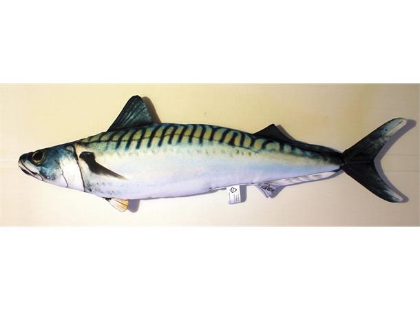 Fiskepute Makrell 60cm Scomber Scombrus Pute