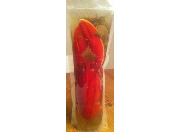 Frysepose for hummer og kreps - 10pk 4 Liter 