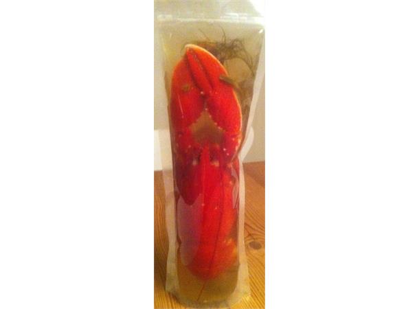 Frysepose for hummer og kreps 10pk 4ltr