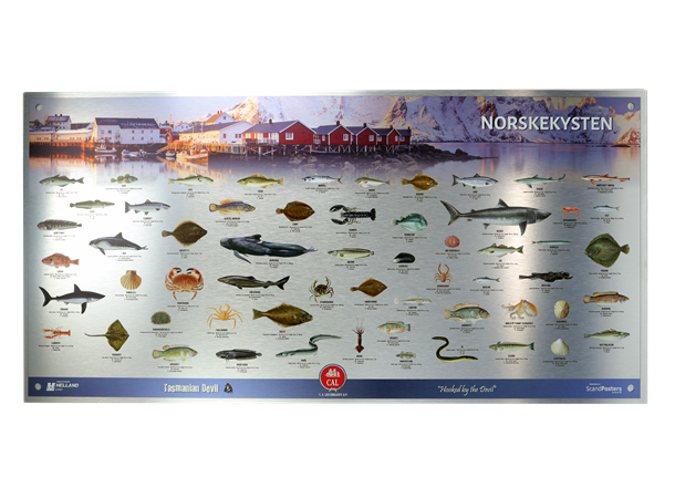 Plansje Norskeskysten 100x50cm Aluminium