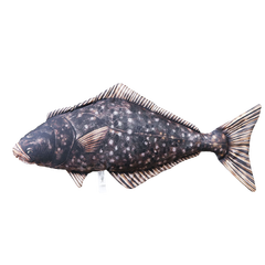 Fiskepute - Kveite Hippoglossus hippoglossus - 72 cm