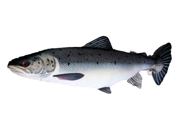 Fiskepute - Laks Salmo Salar - 90 cm 