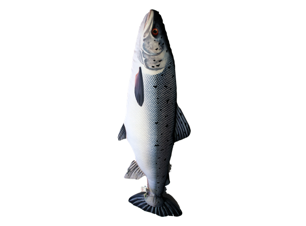 Fiskepute Laks 90cm Salmo Salar Pute