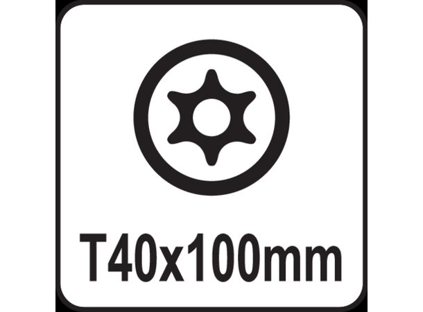 Yato Torx Security Skrutrekker Sikkerhets-Torx m/hull - T40x100mm 