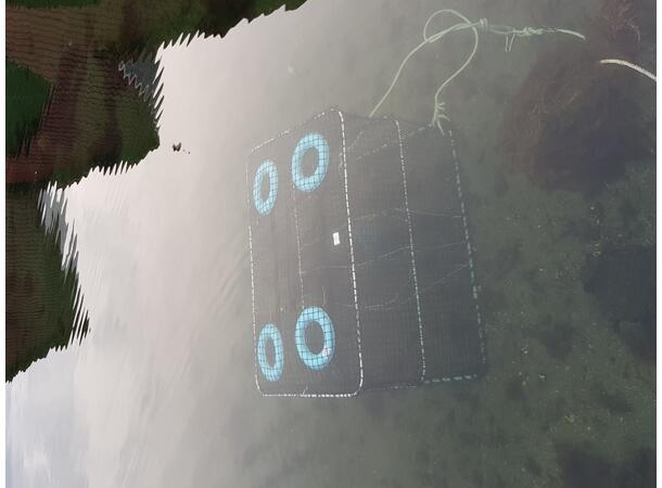 Fisketeine / Havteine Stor 130 x 80 x 120mm  -  9,0kg 