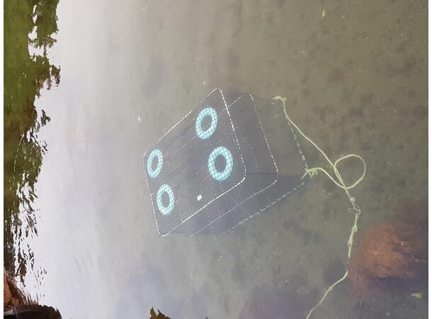 Fisketeine / Havteine Stor 130 x 80 x 120mm  -  9,0kg 