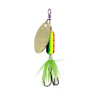 Tasmanian Devil - Tassie Tail Firetiger