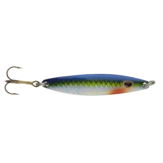 Falkfish Sard - 955 Blue Yellow Nat. Holo